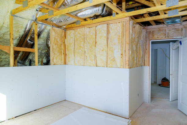 Best Residential Insulation in Roseville, MI