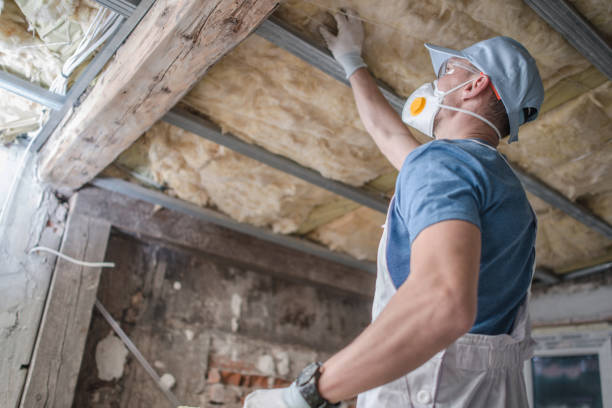 Best Insulation Installation Services in Roseville, MI