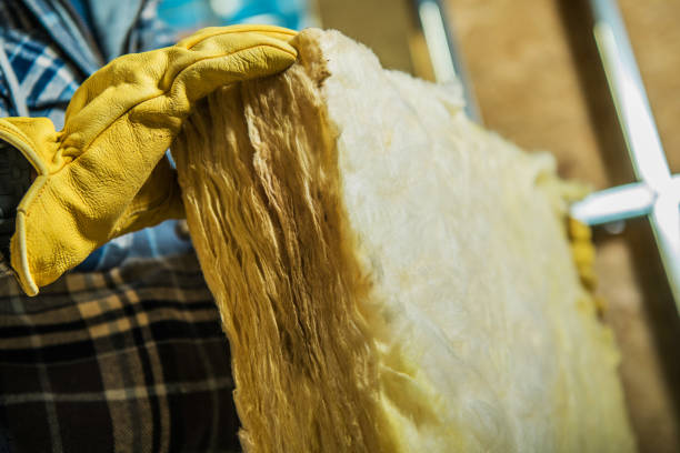 Best Residential Insulation in Roseville, MI