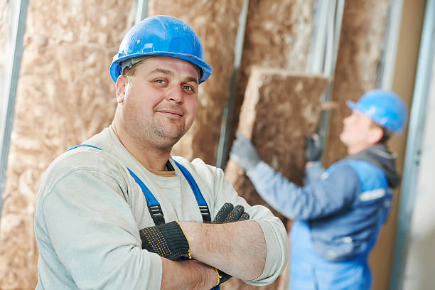 Best Insulation Maintenance and Repair in Roseville, MI