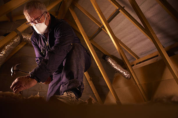 Best Insulation Maintenance and Repair in Roseville, MI